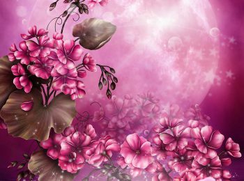 Różowe tło z kwiatami geranium i króliczkami